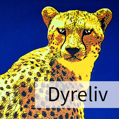 Dyreliv